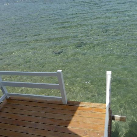 Bluefins Resort Lapu-Lapu City Buitenkant foto